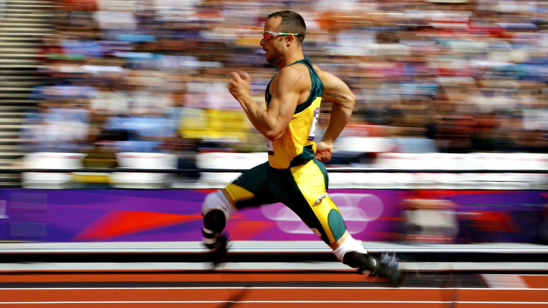 “金牛区城北体育馆：舞蹈和竞技的完美结合，运动舞蹈赛场热力四射”