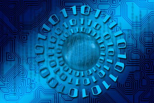 乐鱼官方登录入口-大数据应用助力训练科学管理，大数据在训练管理中的应用